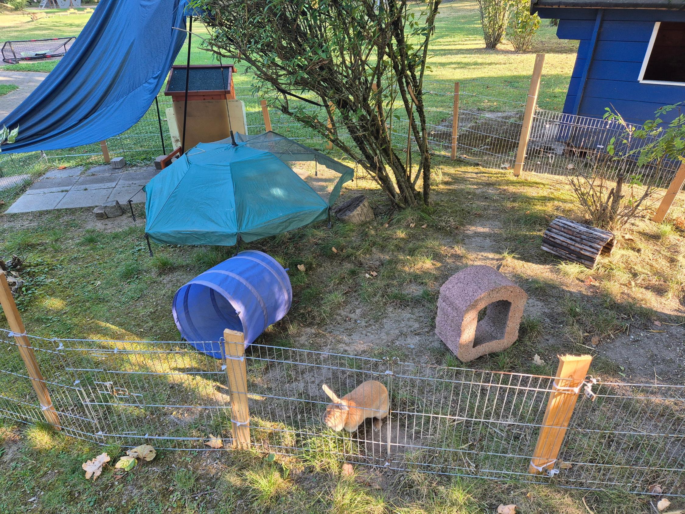 Garten des Kindergartens