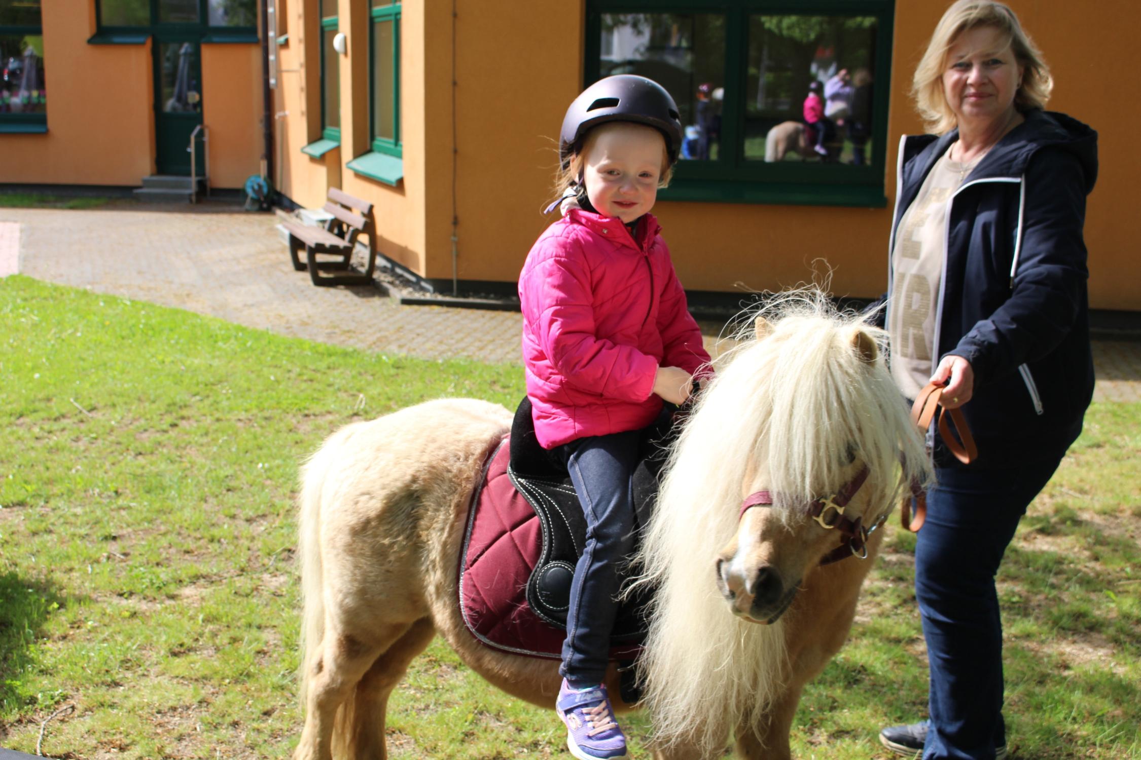 Pony