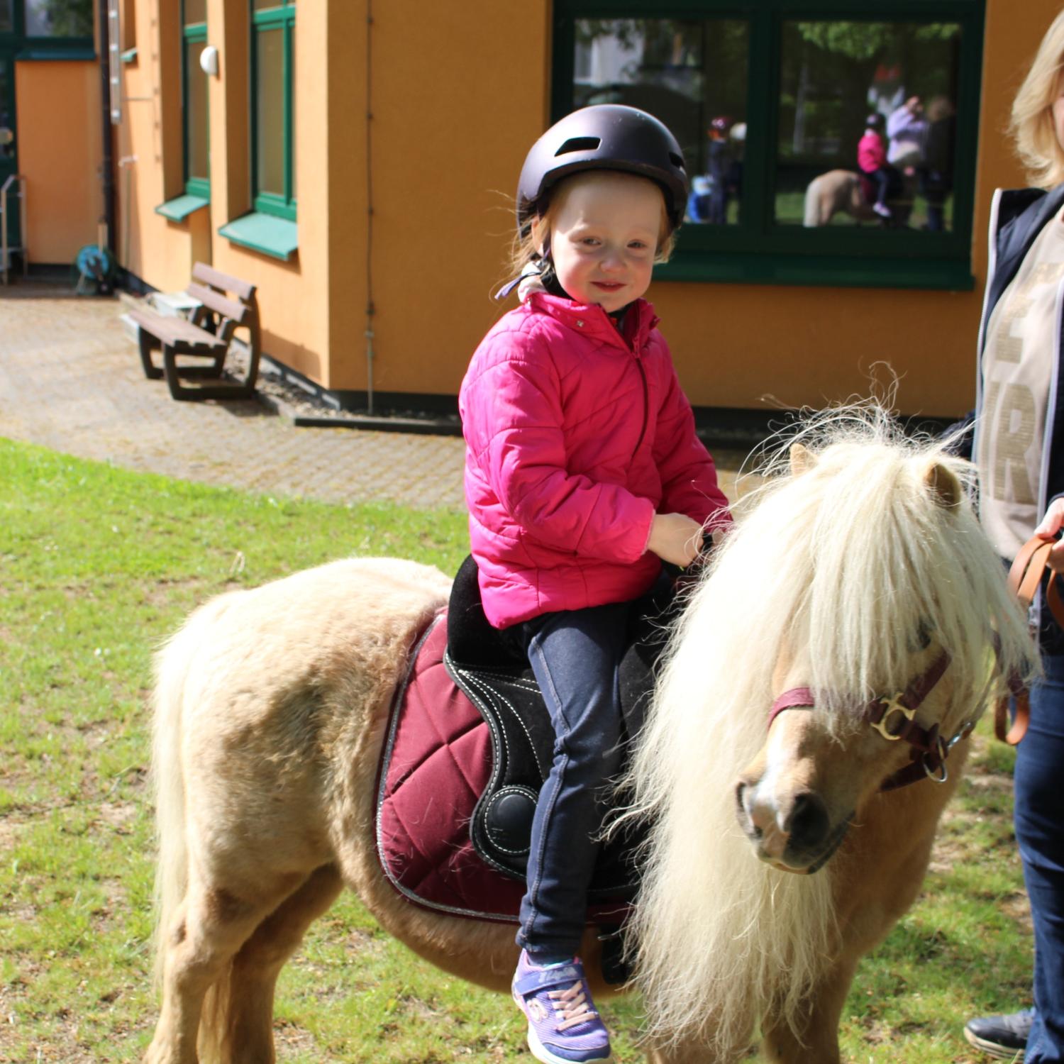 Pony
