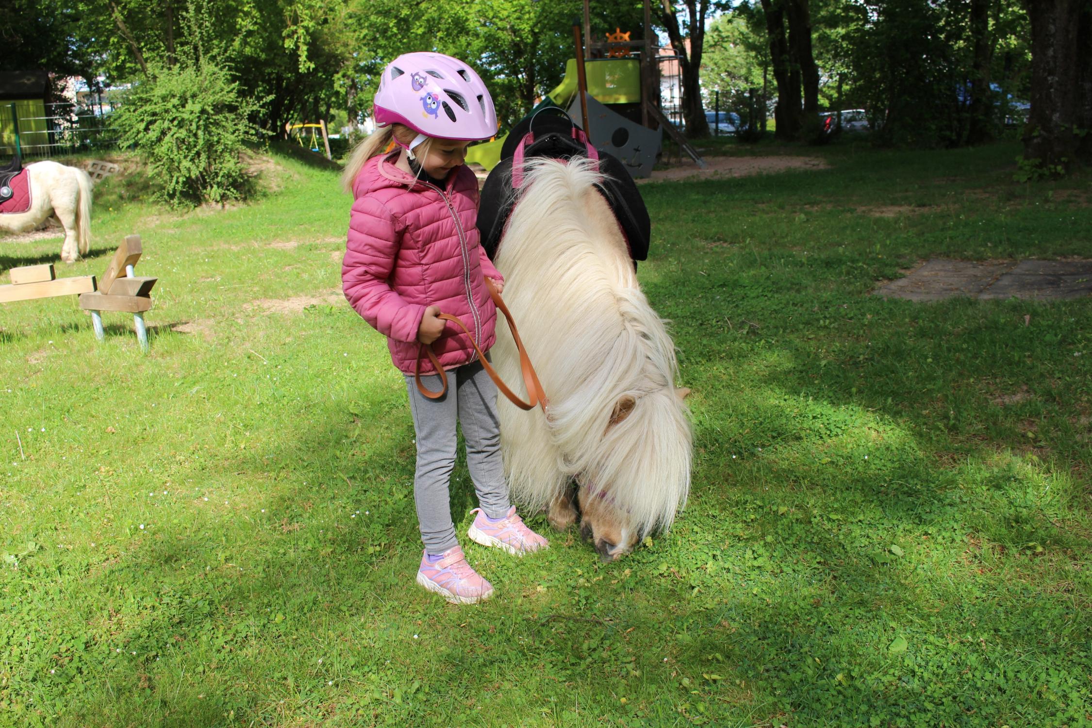 Pony